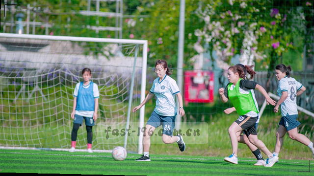 极速入口直连快照